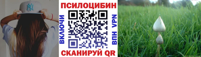 ссылка на мегу онион  купить закладку  Южноуральск  Псилоцибиновые грибы прущие грибы 